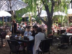 -Fern Forest Cafe