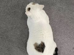 -青沐画室·专业美术培训