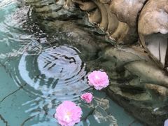-陕西师范大学(雁塔校区)