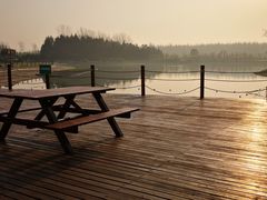 -崇明东平国家森林公园烧烤房车露营地