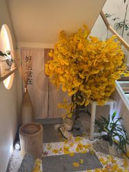 -可樱汇·美容洗发SPA