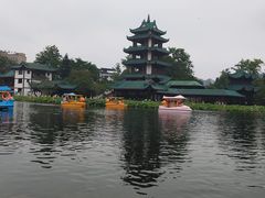 -桂湖森林公园