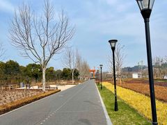 -上海山野camping·户外天幕烧烤·团建拓展营地