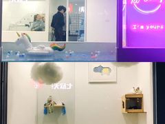-BABYDOG宝贝狗宠物乐园(欧洲城店)