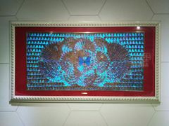 -上海昆虫博物馆