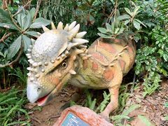 -呀路古热带植物园