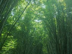 -海南热带野生动植物园