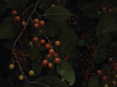 -boundaries籬苑(瑞光创意工厂-贰号院店)