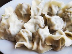猪肉茴香三鲜水饺-鸿毛饺子(紫竹桥店)