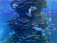 -泉城欧乐堡海洋极地世界