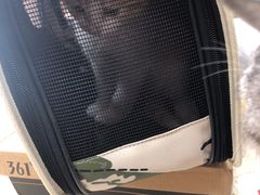-宠颐生宠物医院·综合诊疗(先锋分院)