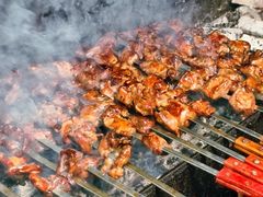 -周记老沈阳焦火鸡架