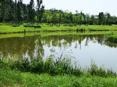 -东郊湿地公园