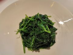 -西郊5号·Maggie 5