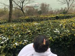 -天目湖涵田半山温泉