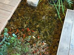-邈墨茶馆(大兜路1号店)