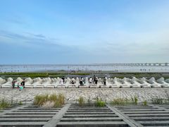 -南汇新城海滩