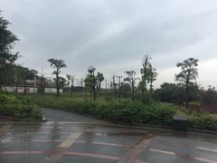 -海堤纪念公园
