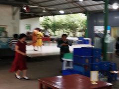 -特种渔场