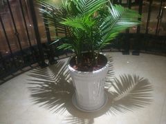 -大理洱海龙湾假日酒店