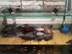 -甜心闲生传统手工冰粉(奎星楼店)