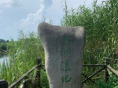 -溱湖国家湿地公园