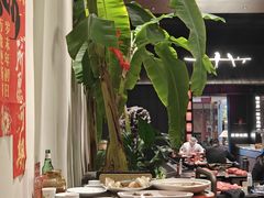 -单家老院·院子里的青岛菜(沙子口店)