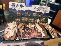 -芸山季·云南山珍菌火锅(人民广场来福士店)