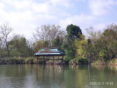 -西溪国家湿地公园