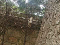 -静之湖度假区
