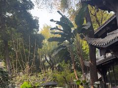 -大妙火锅·非物质文化遗产(东湖公园店)