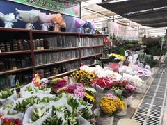 -秦美花卉(天朗·莱茵小城2期店)