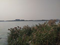 -天津东丽湖风景区