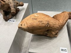 -北京中医药大学-中医药博物馆