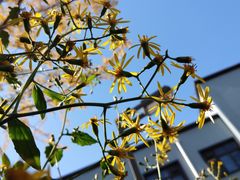 -西安交通大学(雁塔校区)