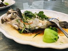 石斑鱼-北海渔村酒楼·粤菜海鲜点心(新华店)
