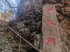 -天女山森林公园