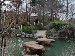 -青枫公园