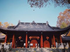 -灵谷景区