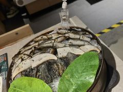 -芸山季·云南野生菌火锅(宝能环球汇店)