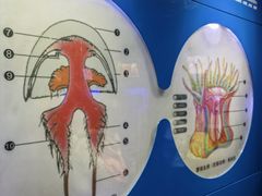 -青岛海底世界-水族馆