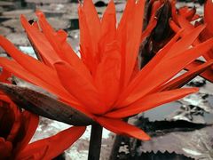 -维乐口腔医院(福清院)