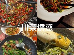 -洞庭土菜馆(天河北总店)
