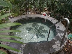 -丰泰花园酒店热矿泉