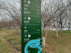 -金银湖国家城市湿地公园