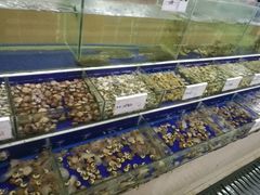 -海鲜城大家餐厅