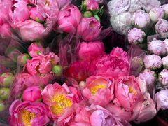 -循礼门鲜花花市(武汉循礼门店)