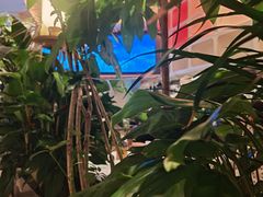 -桂满陇·蟹黄小笼汤包(清河万象店)