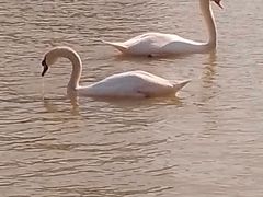 -艾溪湖湿地公园