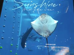 -成都浩海立方海洋公园